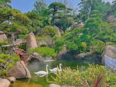 -罗红摄影艺术馆