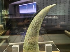 -柳州博物馆