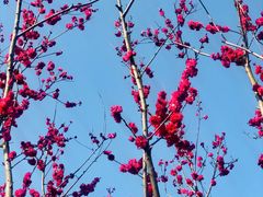 -白鹭湾湿地公园