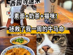 -西园寺素食(西园弄戒幢律寺店)
