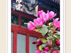 -海棠花溪(元大都城垣遗址公园)