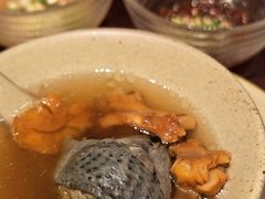 -滇野云南野生菌餐厅(陕西南路店)