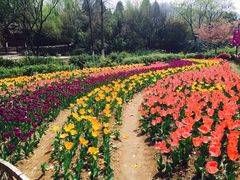 -白马涧龙池景区