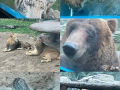 -北京野生动物园