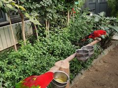 -南宫五洲植物乐园