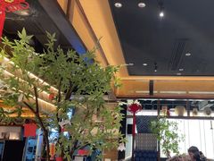 -滇铺子·云南特色菜·第九届野生菌美食节(曲靖万达店)
