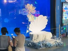 -烟台海昌鲸鲨海洋公园