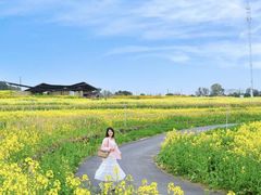 -三圣花乡旅游区