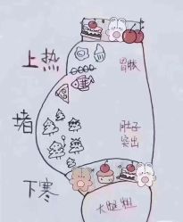 -香薇妮丝女子减肥院