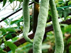 -中国天府农业博览园