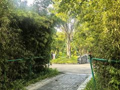 -王借岗森林公园