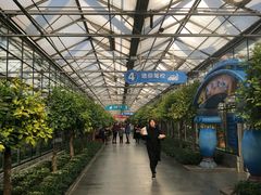 -南宫五洲植物乐园