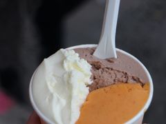 -Dip in Gelato(富民路店)