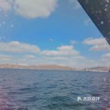 打卡海参崴[胜利]