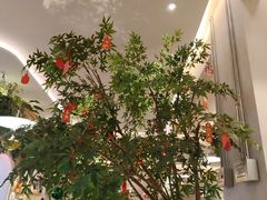 -Aqua Oasis 水天堂(太湖中心mall店)