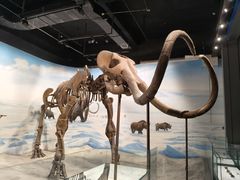 -辽宁古生物博物馆