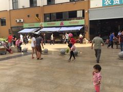 -鸿港海鲜批发市场