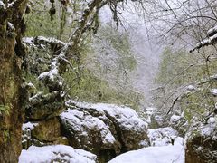 -龙苍沟森林公园