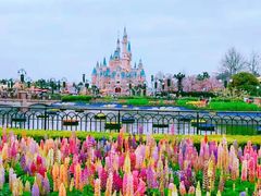 -上海迪士尼度假区