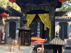 -大槐树寻根祭祖园
