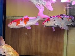 -闻香阁·清真(光荣道店)