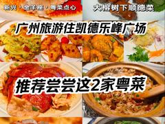 -新兴·金羊座·粤菜点心(乐峰店)