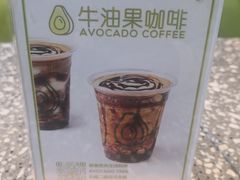-油梨树AVOCADO TREE(望京店)