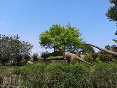 -自贡恐龙博物馆