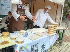 -嘉定紫藤园