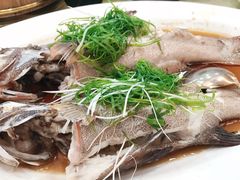 -新金盛·海鲜酒楼(盐田店)