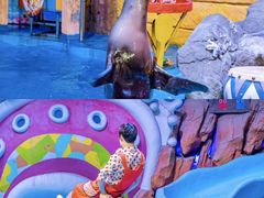 -烟台海昌鲸鲨海洋公园