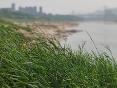 -金海湾滨江公园