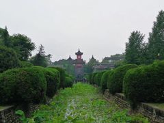 -四川大学(华西校区)