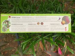 -歌斐颂巧克力小镇