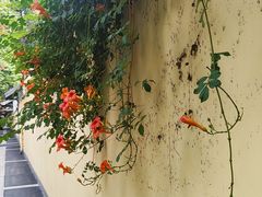 -颐和路民国时期公馆风貌区