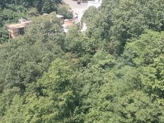 -栾川竹海野生动物园