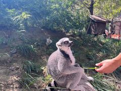 -北京野生动物园