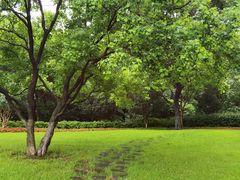 -九华山公园