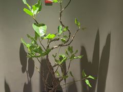 -满堂匠心川宴·私房菜(天府三街店)