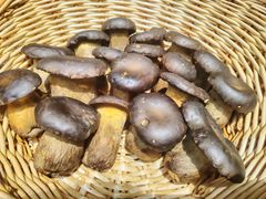 -华冠悠岚·庭院餐厅(青城后山店)