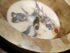 -滇小鱼·云南野生菌火锅(上杭路店)