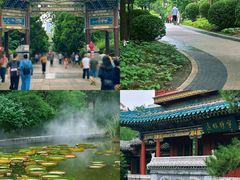 -迎泽公园