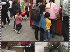 -叶氏麻糍(鼓浪屿店)
