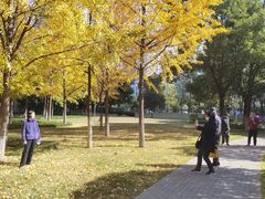 -西北湖绿化广场