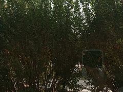 -京津新城温德姆至尊酒店(珠江大道店)