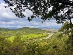 -风云岭森林公园
