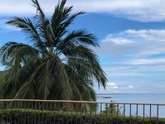 -日落吧·海景咖啡厅·餐酒吧·鸡尾酒·下午茶·乐队表演·浪漫夕阳·三亚文华东方酒店
