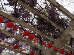 -晋阳饭庄(虎坊桥店)