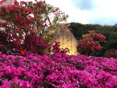 -井冈山风景名胜区