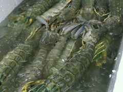 -拉威海鲜市场
